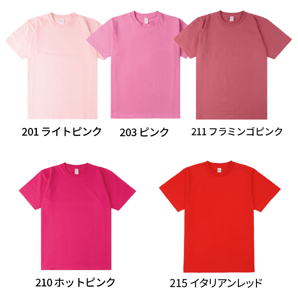 DF 1101 画像 4