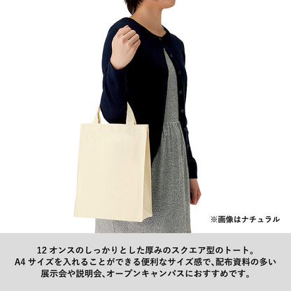 TR-0179 画像 4