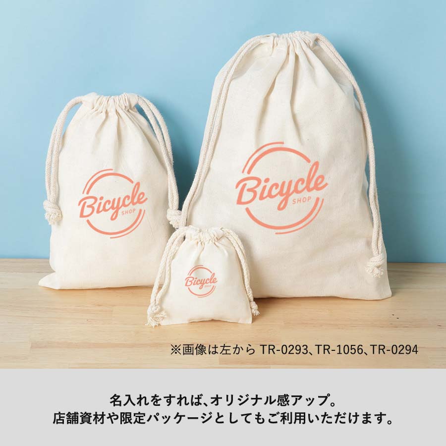 TR-0293 画像 5