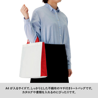 TR-0667 画像 4