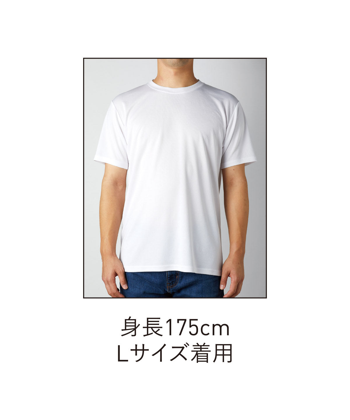RPT-925 画像 8