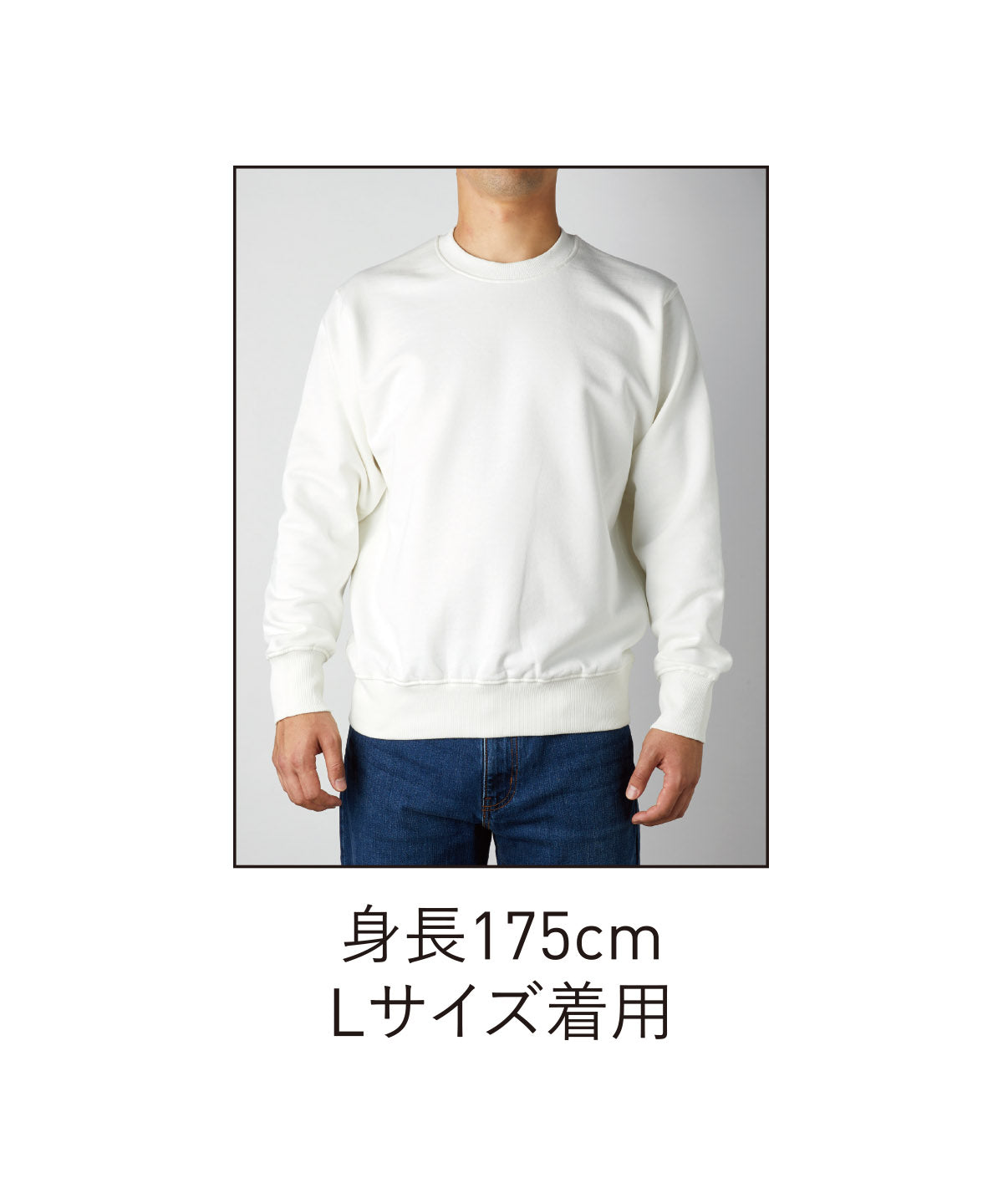 OGS-915 画像 10