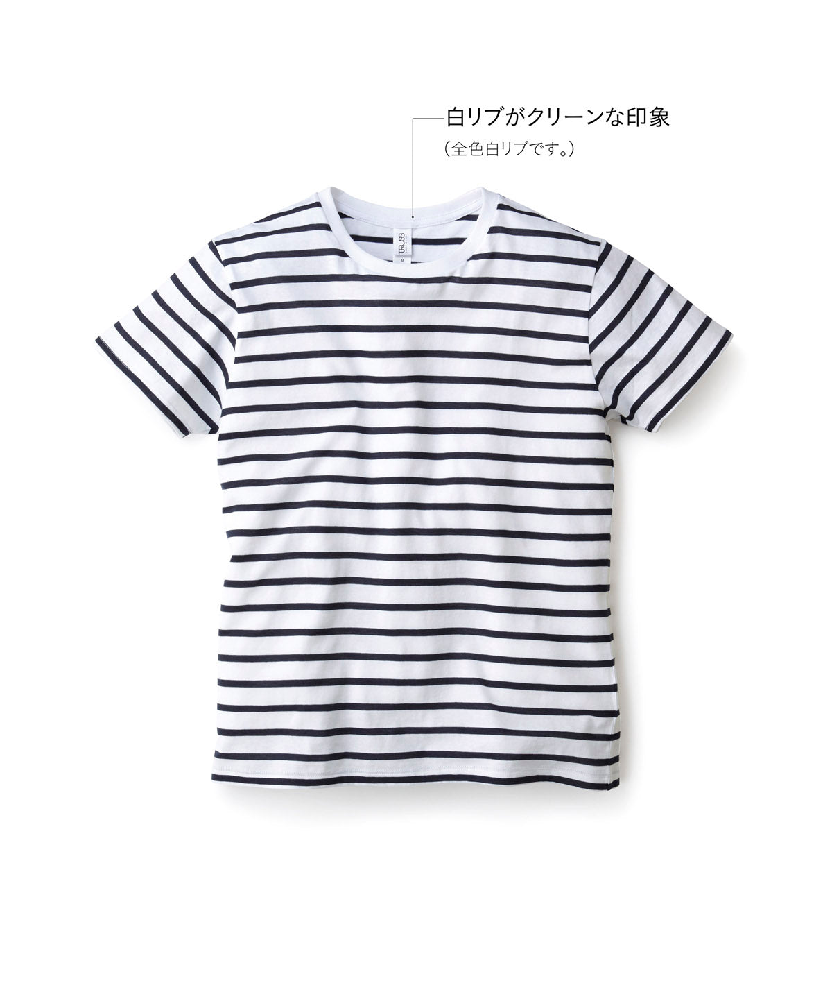 SNB-141 画像 6