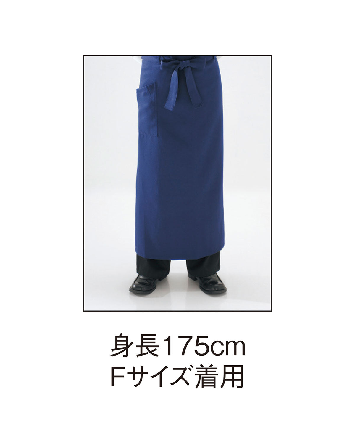 GA 5588 画像 7