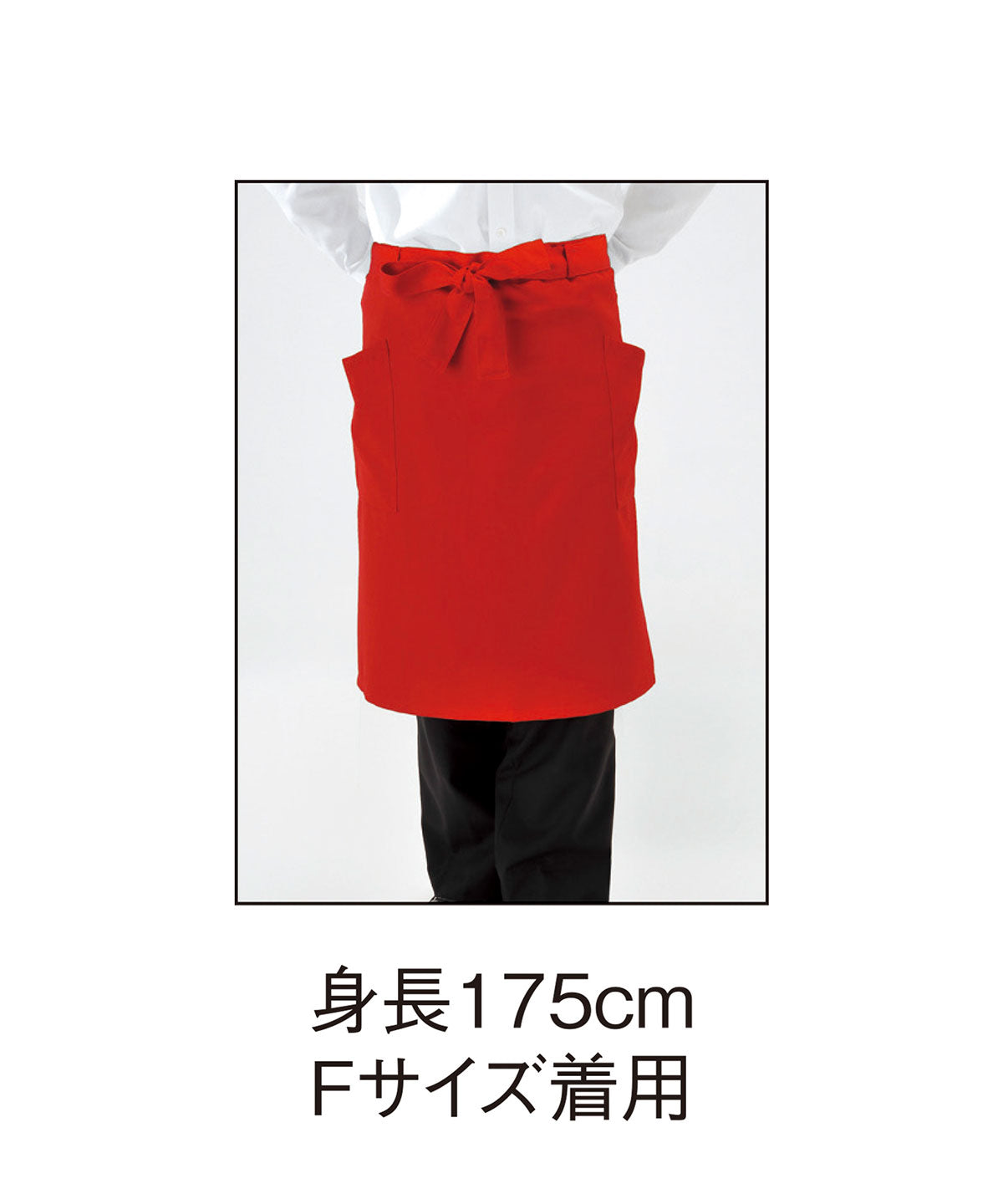 GA 5560 画像 7