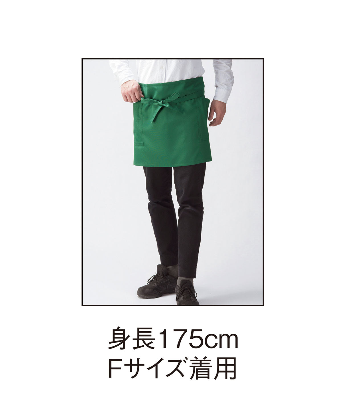 GA 5542 画像 7
