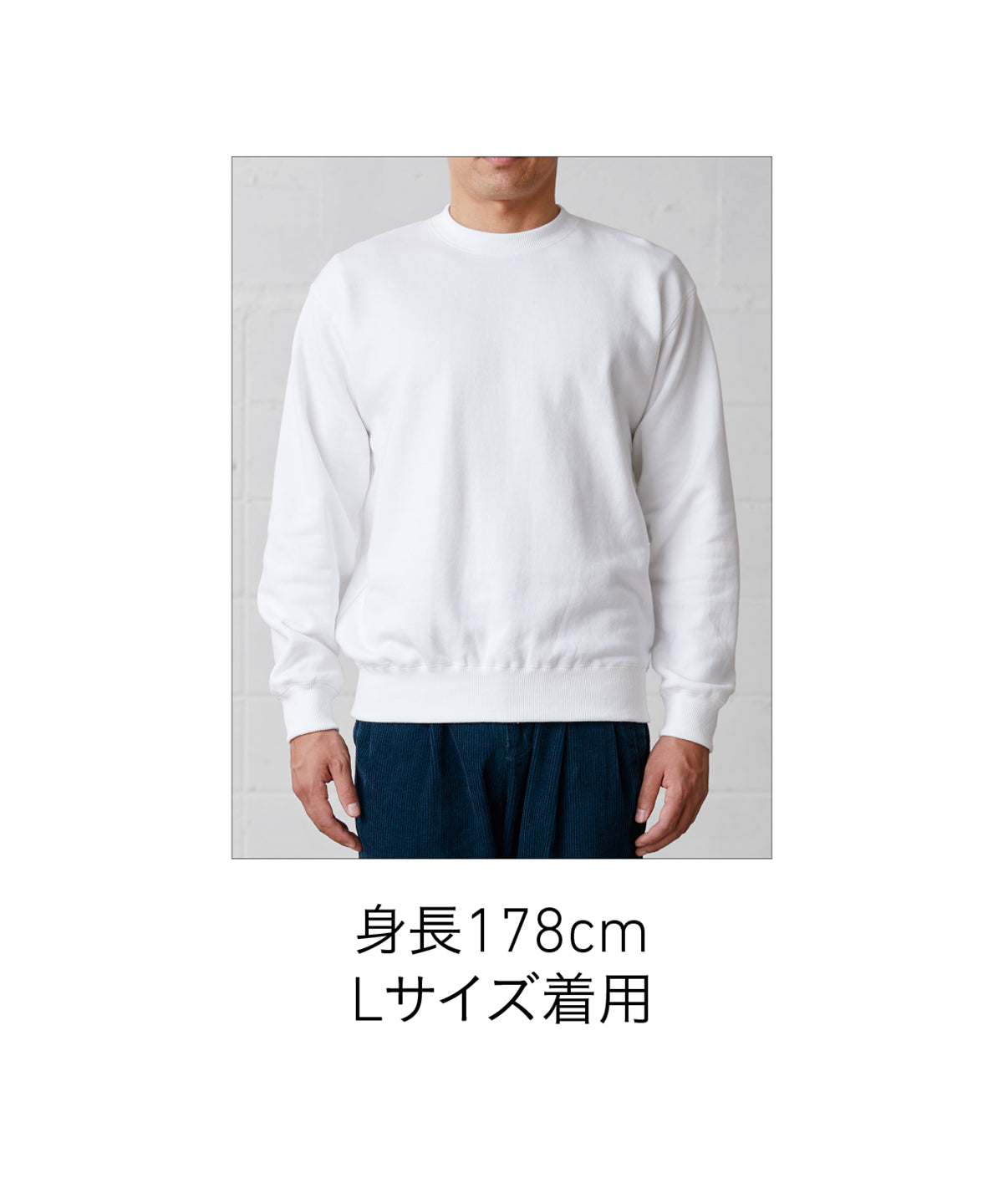 SW 2210 画像 16