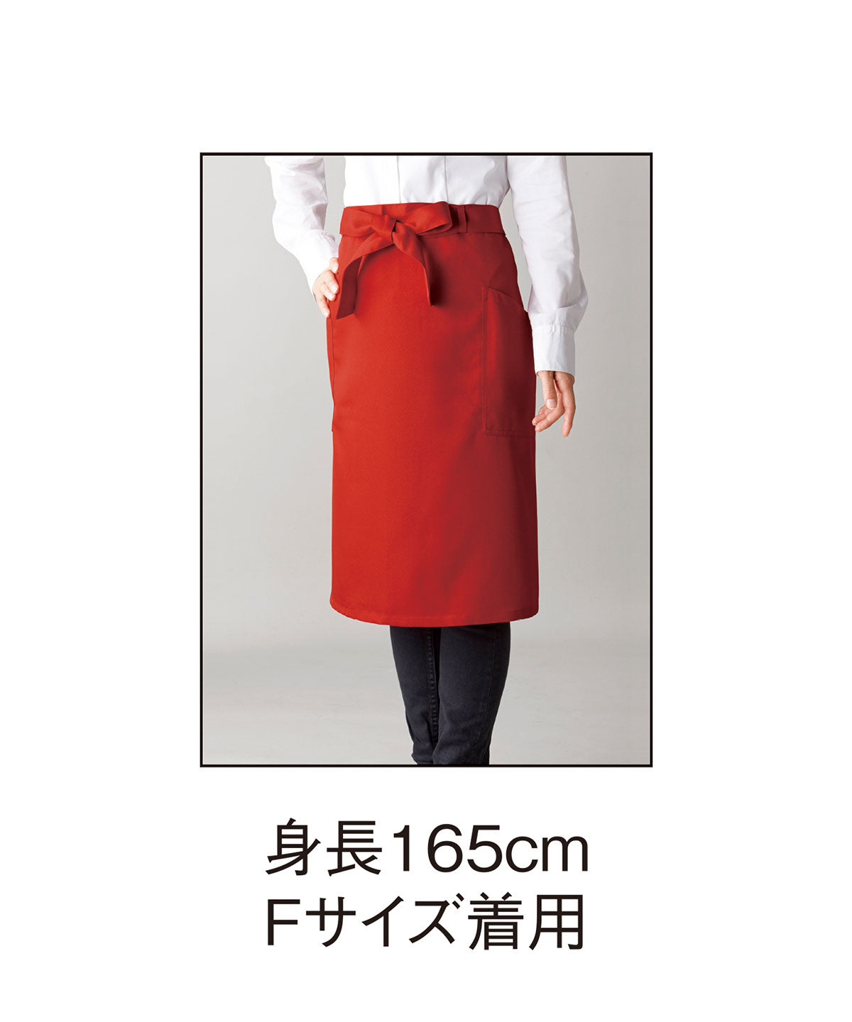GA 5560 画像 8