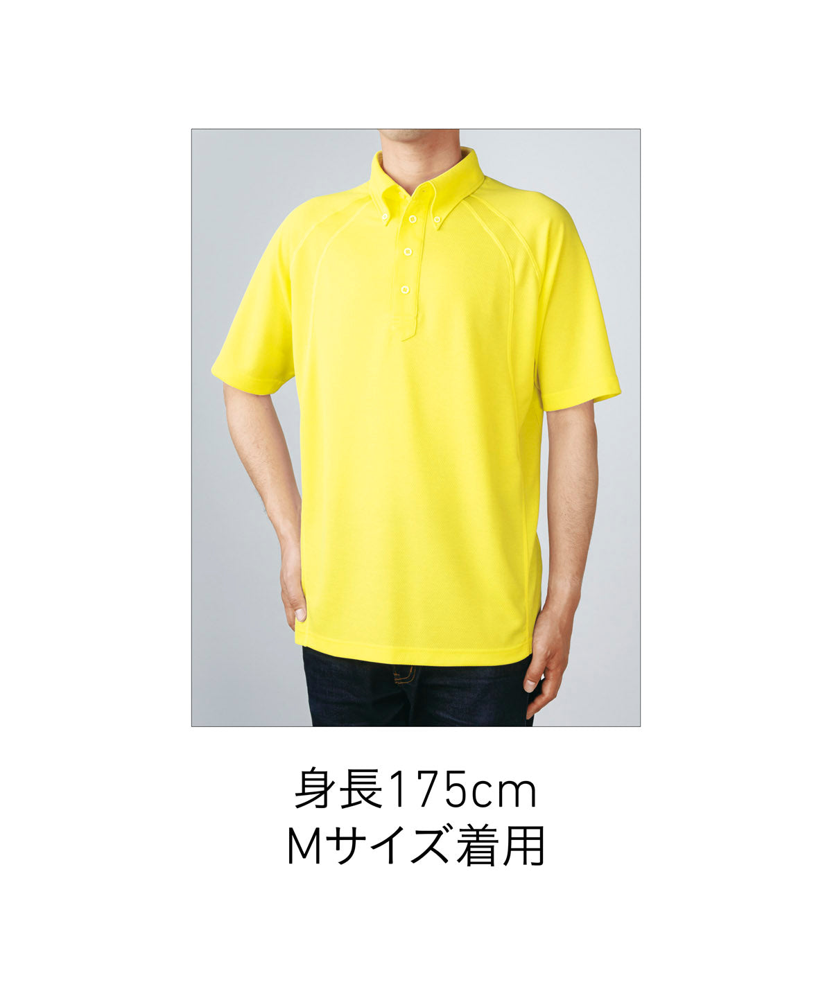 BDP-262 画像 11