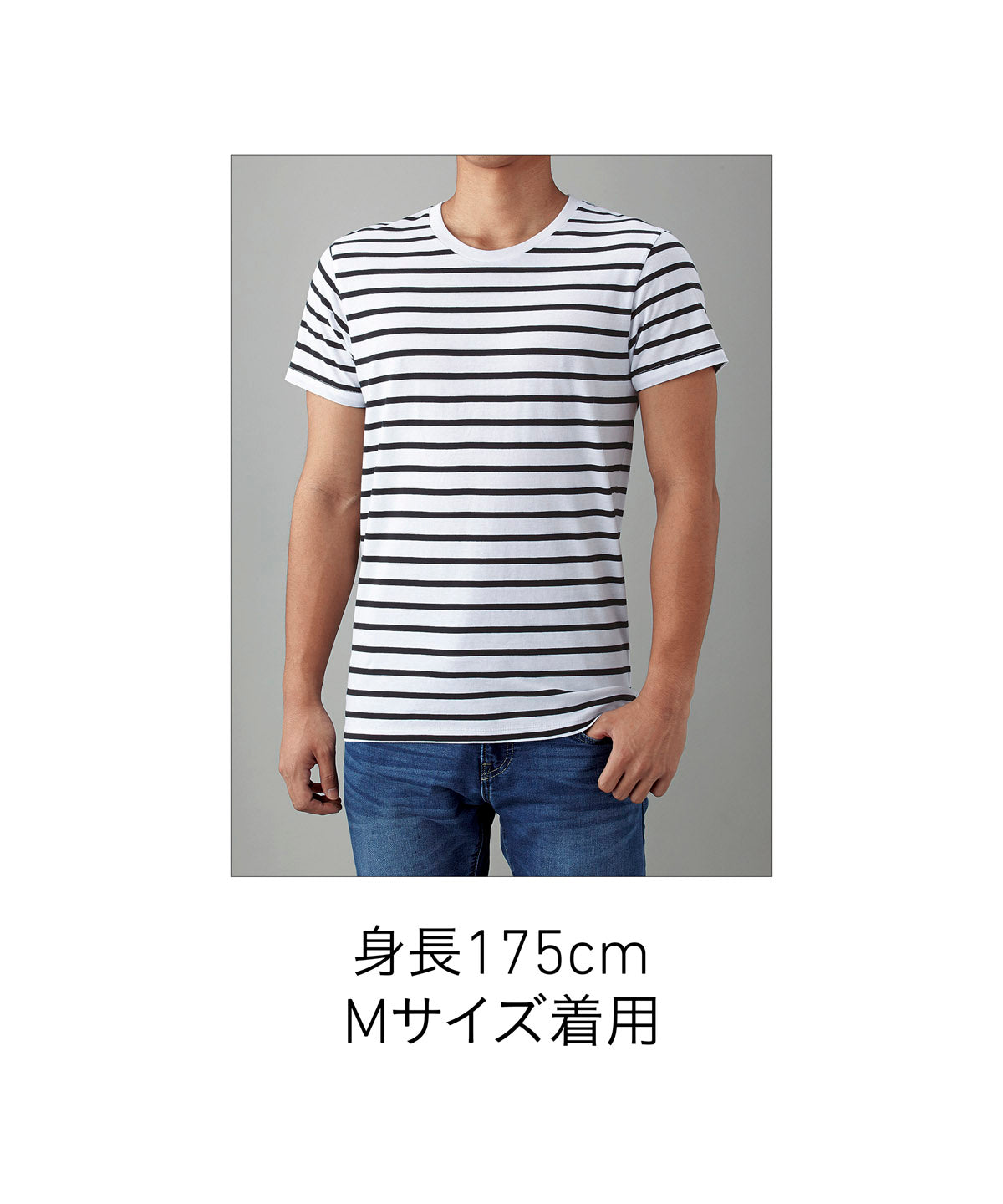 SNB-141 画像 8