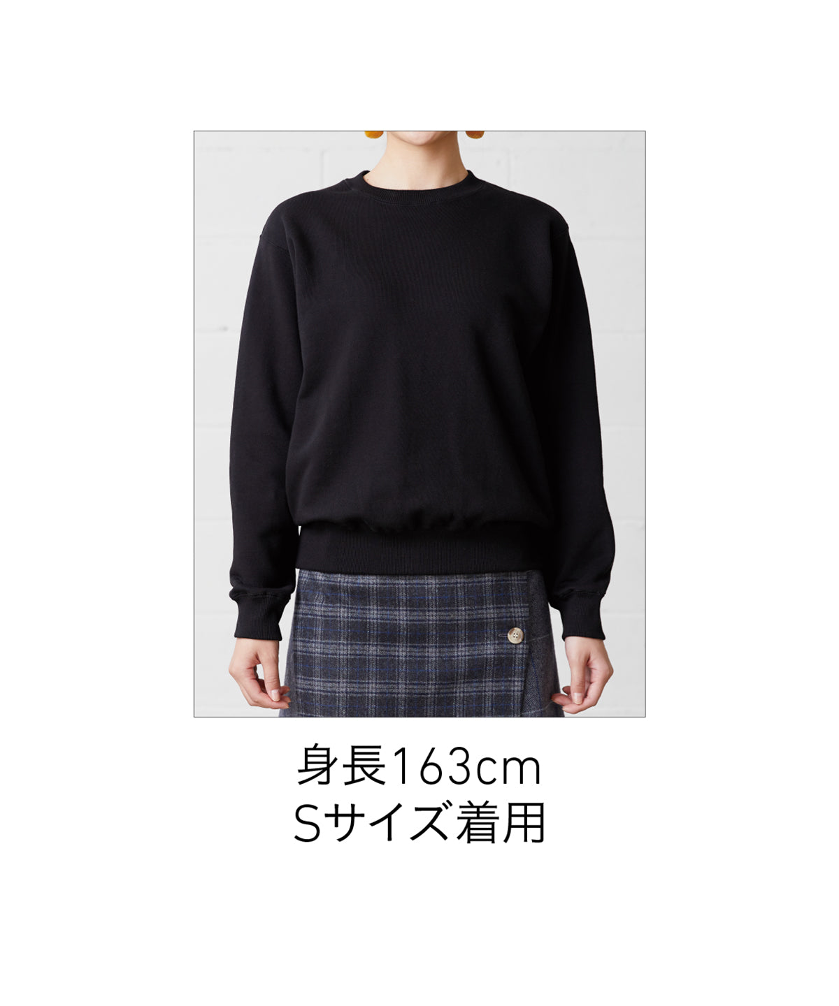 SW 2210 画像 20